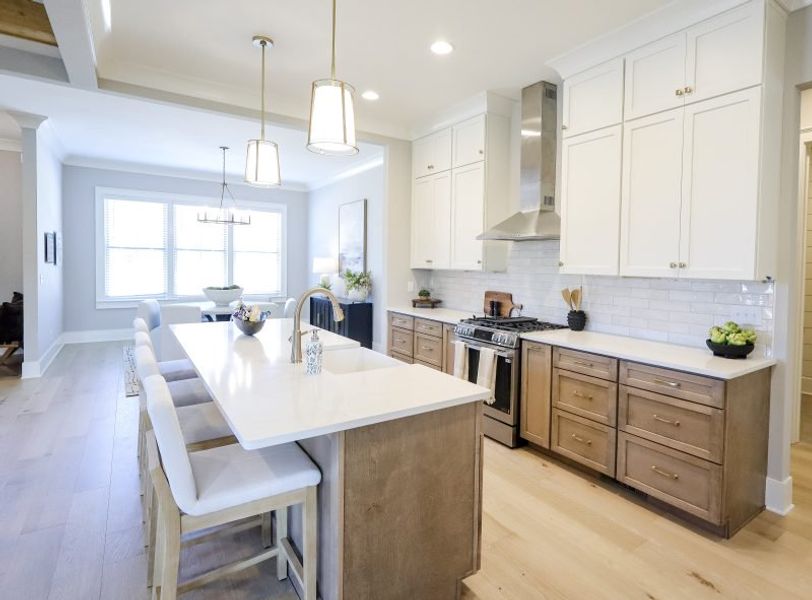 Furnished interior view inside a new home in Faith View, Ooltewah (Image 63).