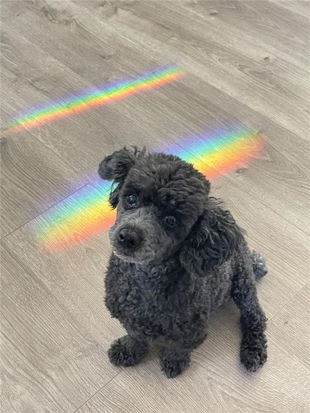 Image 74 of a home in .