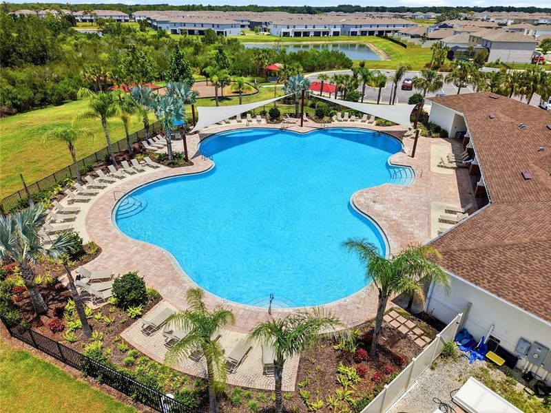 Community amenities in , Wesley Chapel (Image 35).