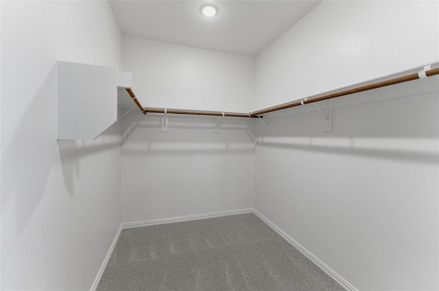 Walk-in closet featuring light gray carpeting, white baseboards, and built-in white shelving with hanging rods