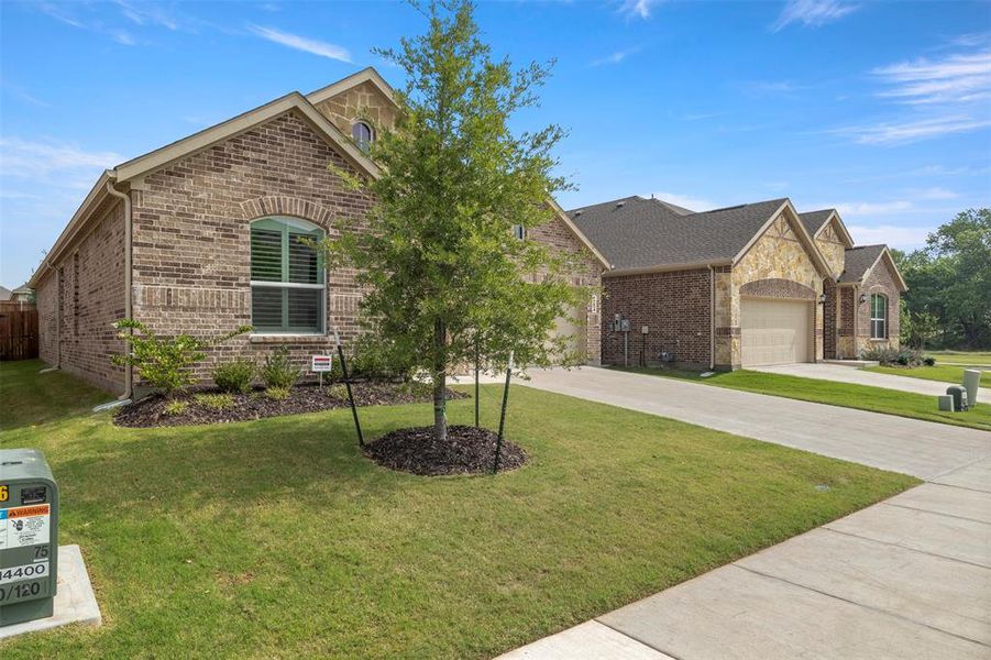 Front exterior of a new home in Shaded Tree, McKinney, TX, highlighting curb appeal (Image 2). Front exterior of a new home in Shaded Tree, McKinney, TX, highlighting curb appeal (Image 2).
