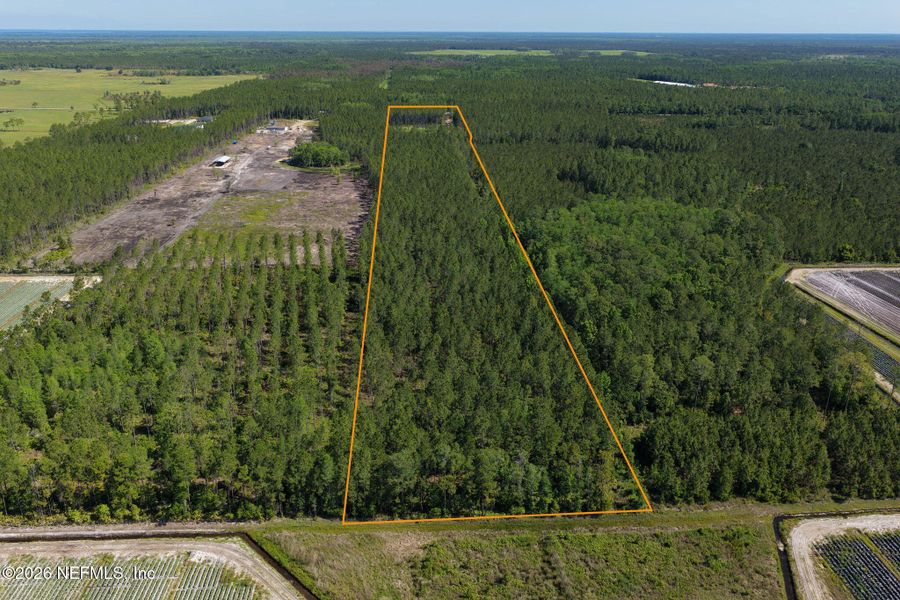 Natural landscape and outdoor views near  in Bunnell (Image 42).