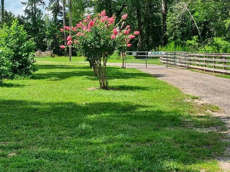 Natural landscape and outdoor views near  in St. George (Image 46).