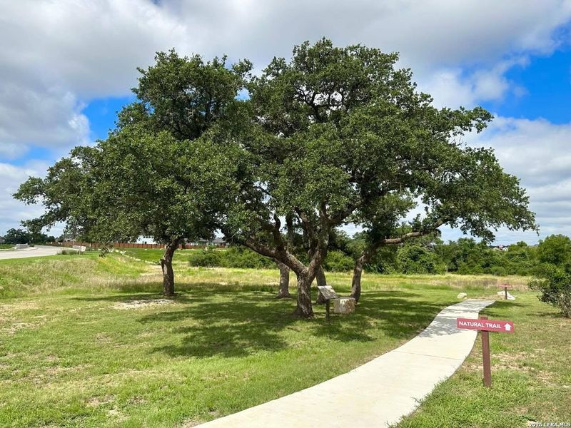 Natural landscape and outdoor views near Meyer Ranch – Select Reserve Series in New Braunfels (Image 33). Natural landscape and outdoor views near Meyer Ranch – Select Reserve Series in New Braunfels (Image 33).