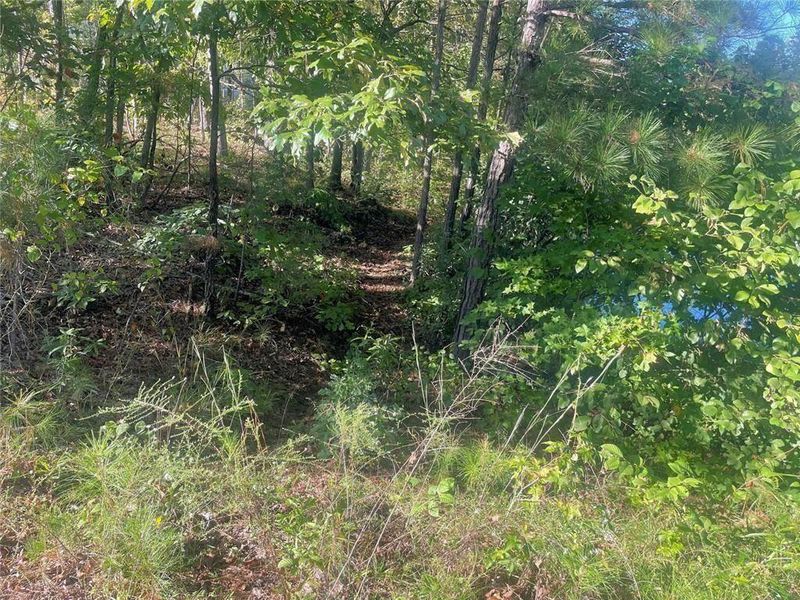 Natural landscape and outdoor views near Bryson Lake in Douglasville (Image 39).