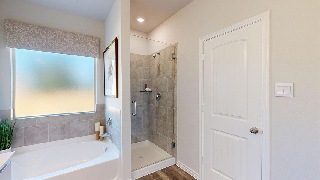 Full bathroom with a bath, a shower stall, dark wood finished floors, and vanity Full bathroom with a bath, a shower stall, dark wood finished floors, and vanity