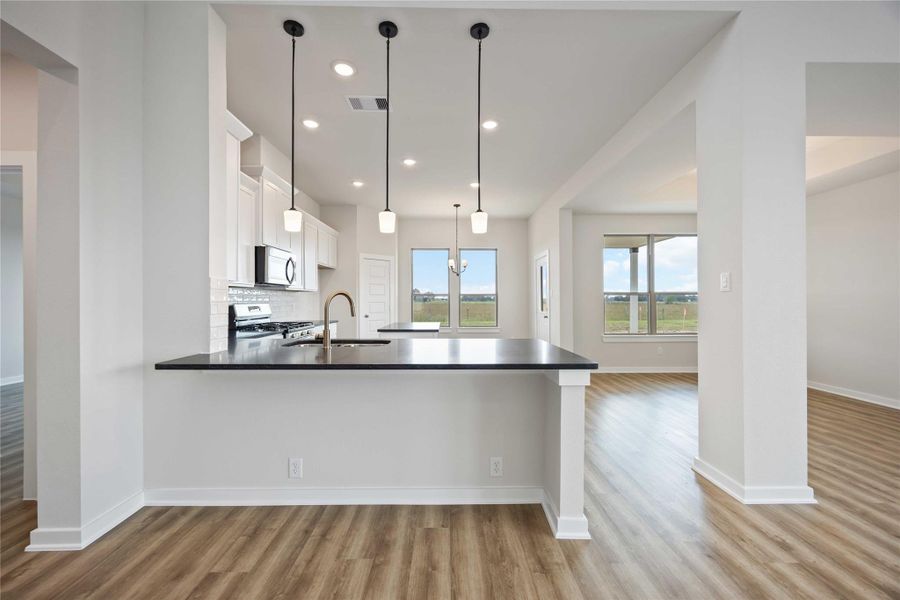 Furnished interior view inside a new home in Blue Heron Estates, Beasley (Image 7).