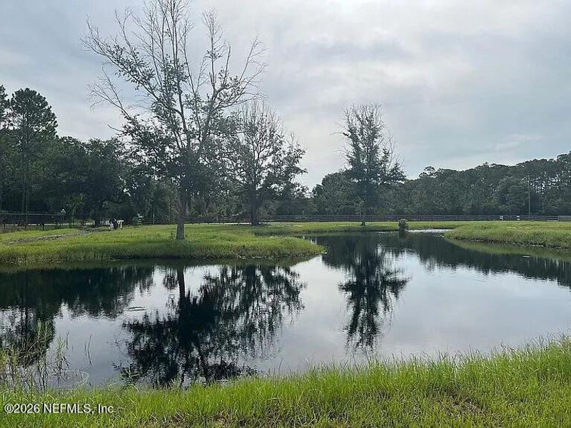 Natural landscape and outdoor views near  in Green Cove Springs (Image 38).