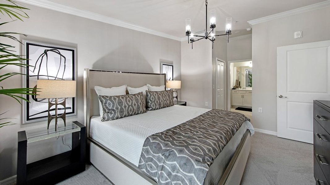 0087 Bromelia II Owners 1of2 Base2 6 3 25