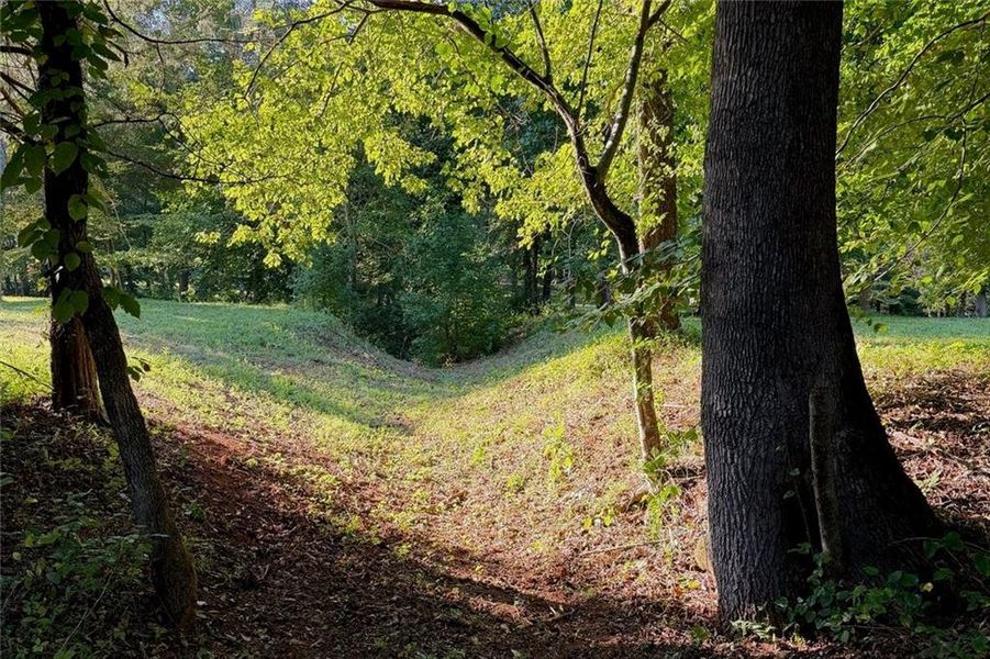Natural landscape and outdoor views near in Ball Ground (Image 27). Natural landscape and outdoor views near in Ball Ground (Image 27).