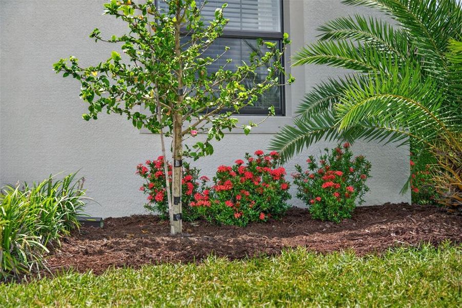 Exterior details and patio area of a home in , Bradenton (Image 34). Exterior details and patio area of a home in , Bradenton (Image 34).