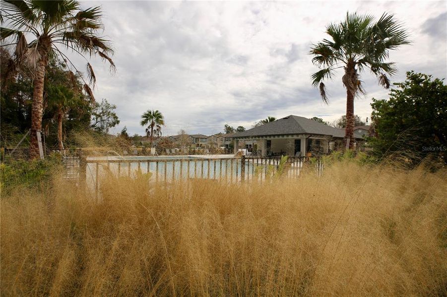 Natural landscape and outdoor views near  in Land O' Lakes (Image 51).