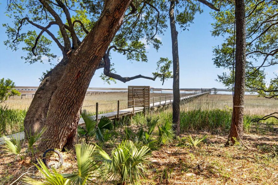 Natural landscape and outdoor views near in Awendaw (Image 16). Natural landscape and outdoor views near in Awendaw (Image 16).