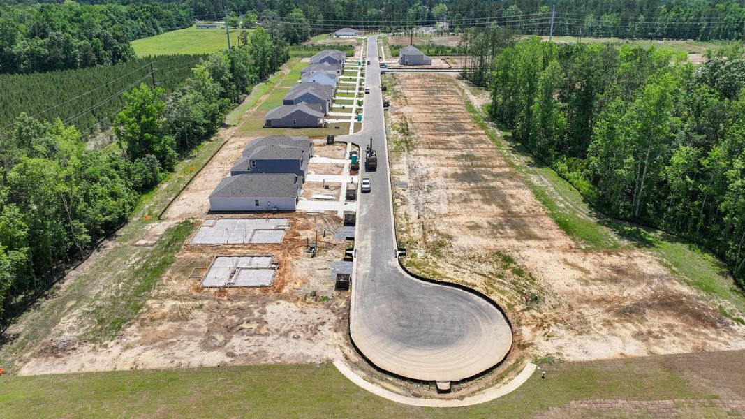 Site preparation for new homesites in Pineview North, Summerville (Image 22).