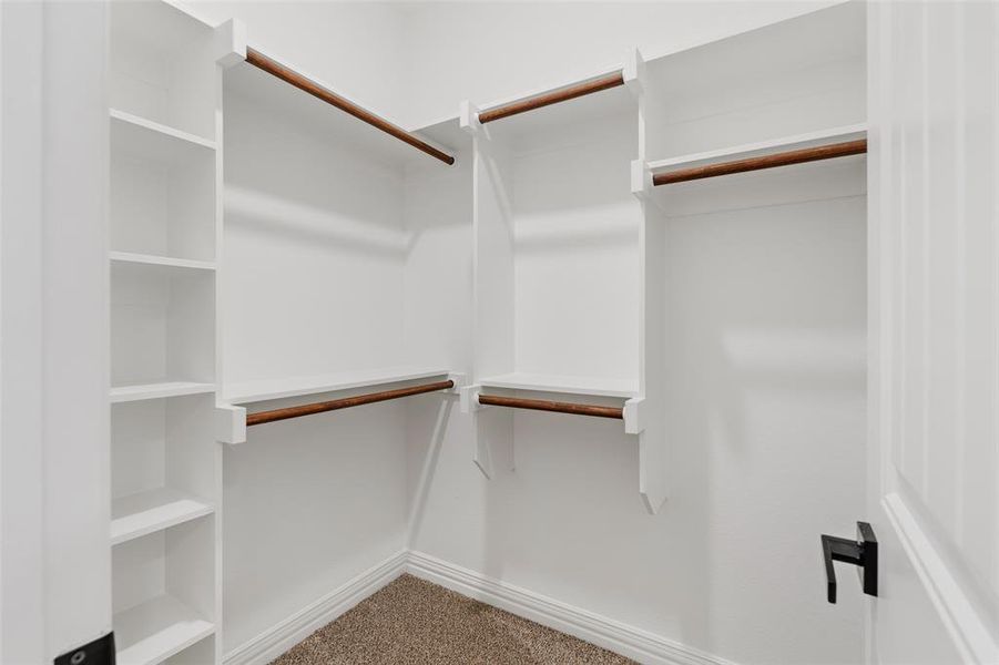 Spacious closet with carpet floors