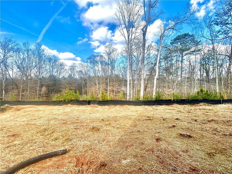 Natural landscape and outdoor views near The Pointe at Heron Bay in Locust Grove (Image 18).