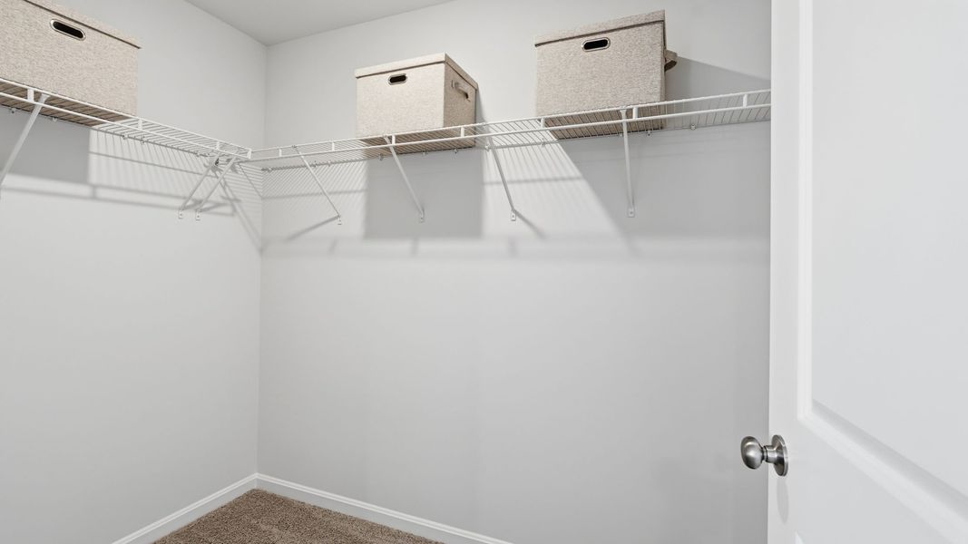 Spacious, unfurnished interior of a new home in Altama, Brunswick (Image 20).