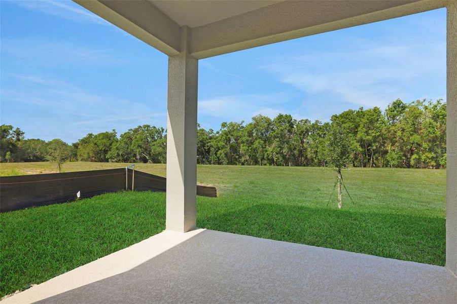 Exterior details and patio area of a home in Seaport Village, Tavares (Image 19).