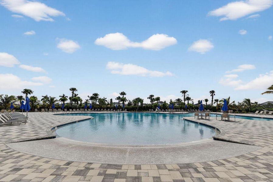 36-web-or-mls-3A5A2817