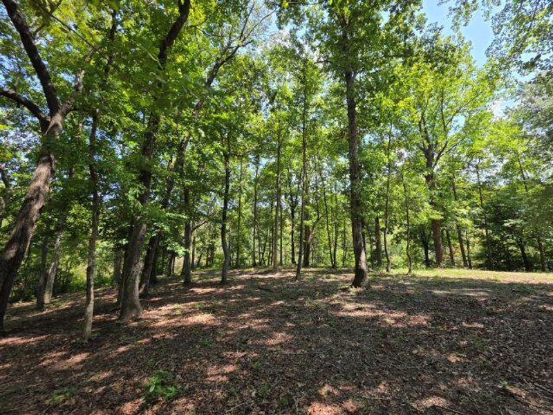 Natural landscape and outdoor views near  in Santee (Image 33).