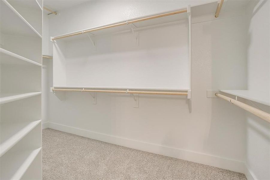 Spacious closet featuring light carpet