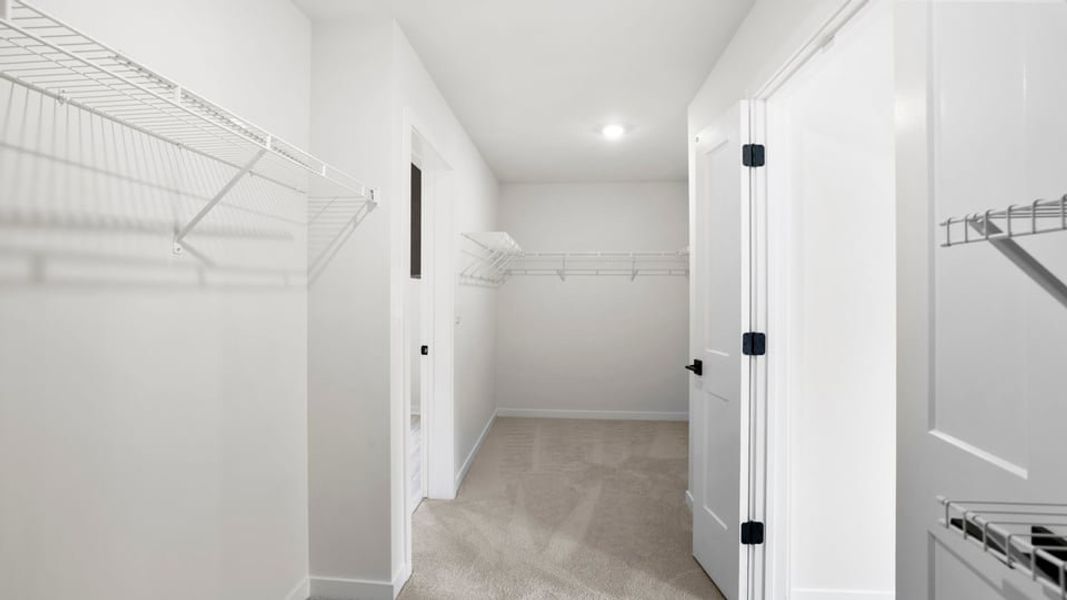 Spacious, unfurnished interior of a new home in Adams Glen, Greenville (Image 35). Spacious, unfurnished interior of a new home in Adams Glen, Greenville (Image 35).