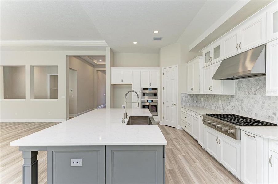 Furnished interior view inside a new home in Hawkstone, Lithia (Image 4).