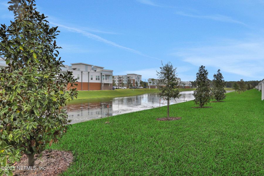 Natural landscape and outdoor views near in St. Augustine (Image 32). Natural landscape and outdoor views near in St. Augustine (Image 32).