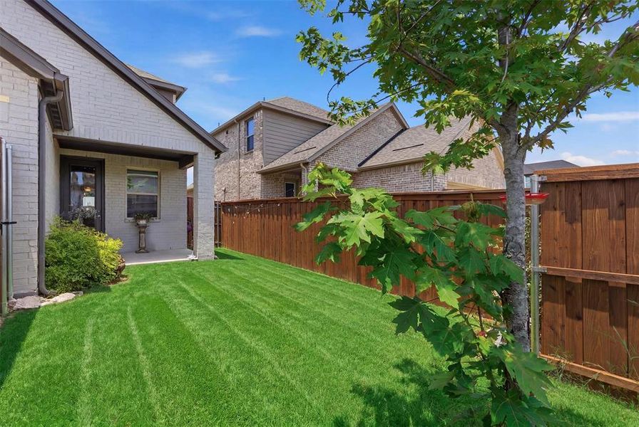 Exterior details and patio area of a home in Cross Creek Meadows, Celina (Image 3).