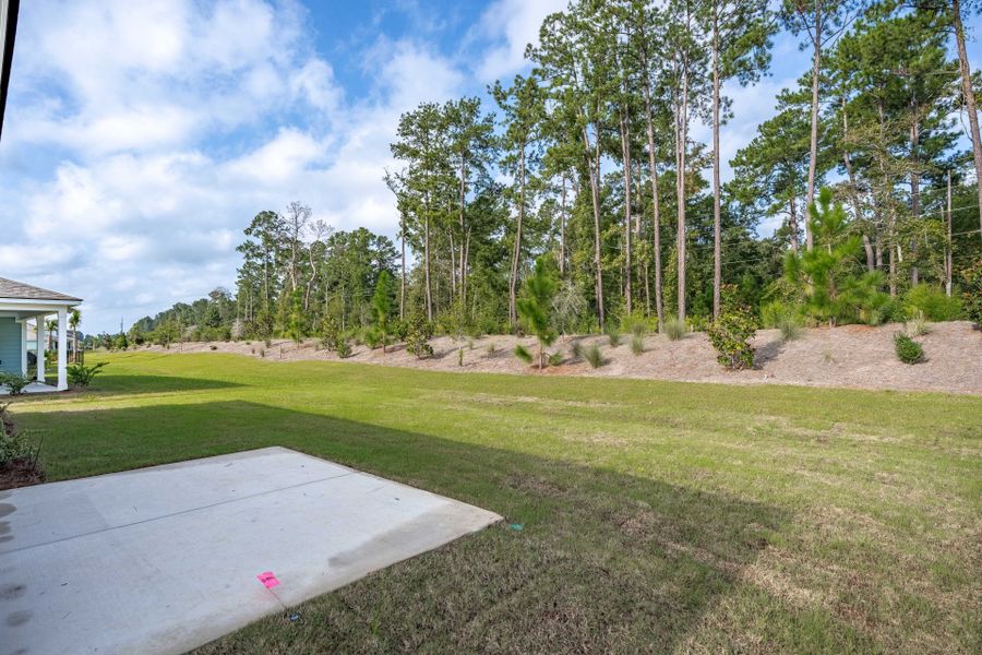 Natural landscape and outdoor views near Del Webb Charleston at Nexton in Summerville (Image 43). Natural landscape and outdoor views near Del Webb Charleston at Nexton in Summerville (Image 43).
