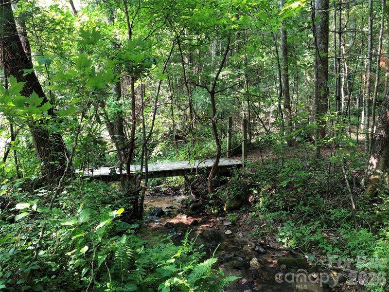 One of the scenic hiking trails within the Buck Mountain Community One of the scenic hiking trails within the Buck Mountain Community