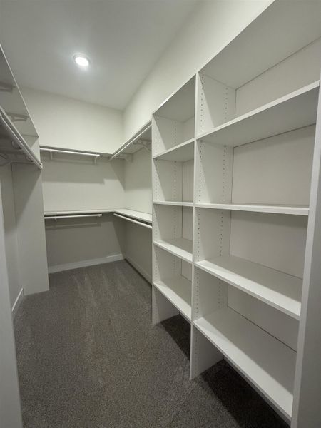 Walk in closet featuring dark colored carpet