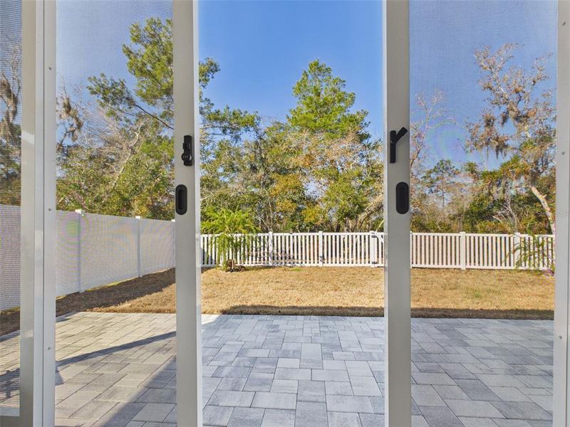 Exterior details and patio area of a home in Vineland Reserve, Osteen (Image 31).