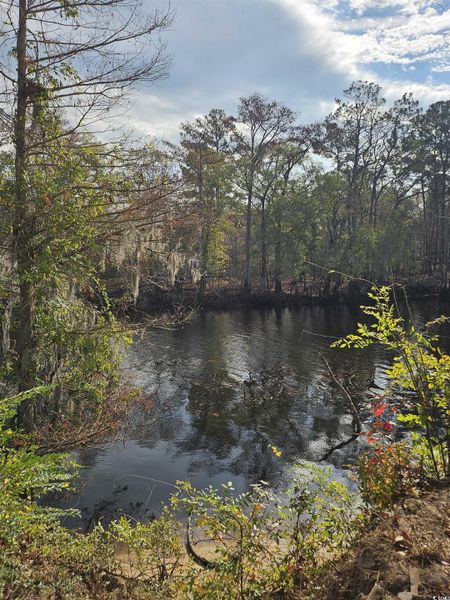 Natural landscape and outdoor views near Grissett Landing in Conway (Image 15). Natural landscape and outdoor views near Grissett Landing in Conway (Image 15).