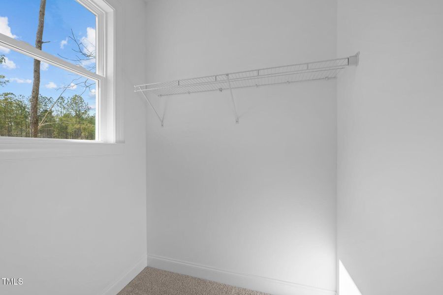 29-web-or-mls-3D5A6959