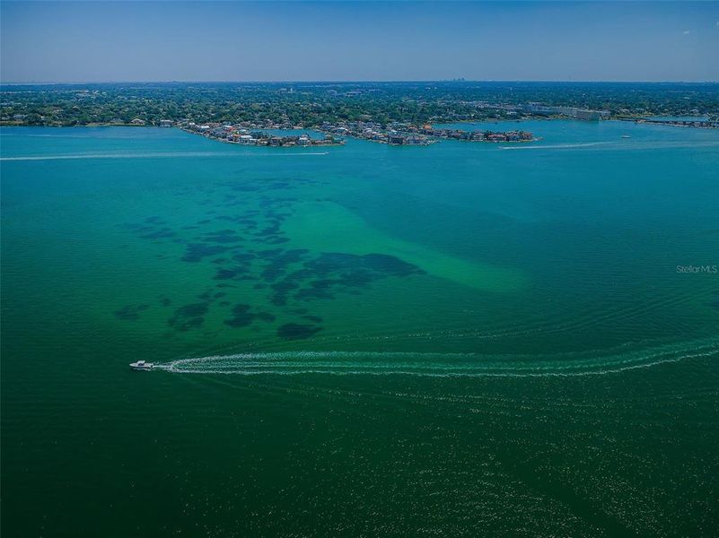 Natural landscape and outdoor views near  in Belleair Beach (Image 62).