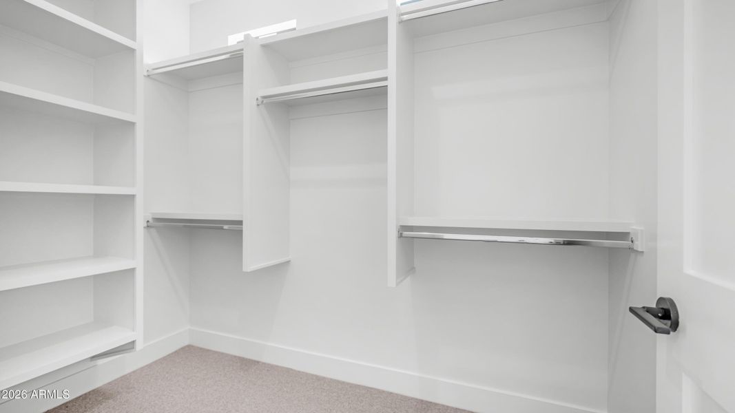 Lot 2 (50) - Copy Lot 2 (50) - Copy