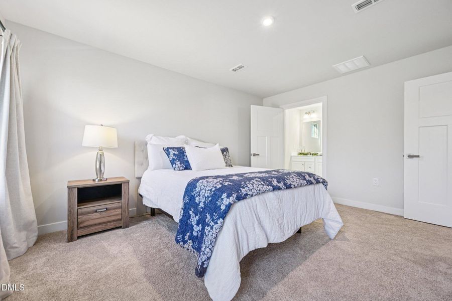 31-web-or-mls-matthiola-S1301-031