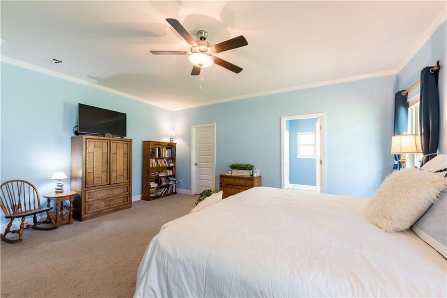Furnished interior view inside a new home in , Maysville (Image 6).