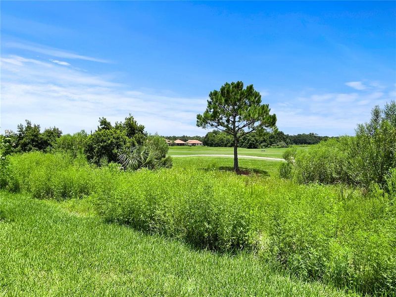 Natural landscape and outdoor views near  in Davenport (Image 33).