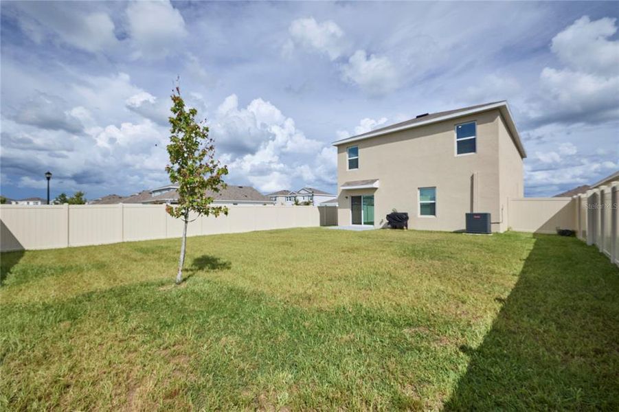 Exterior details and patio area of a home in Westgate at Avalon Park, Wesley Chapel (Image 4).