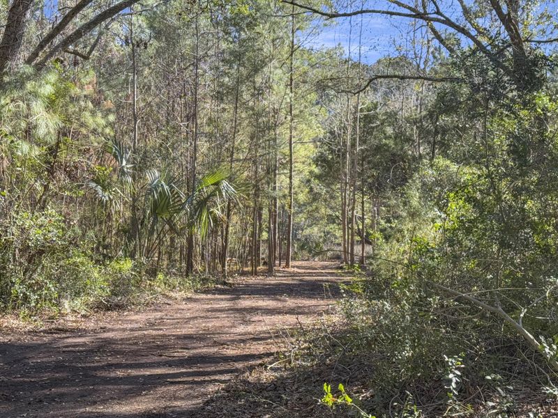 Natural landscape and outdoor views near  in Johns Island (Image 18).