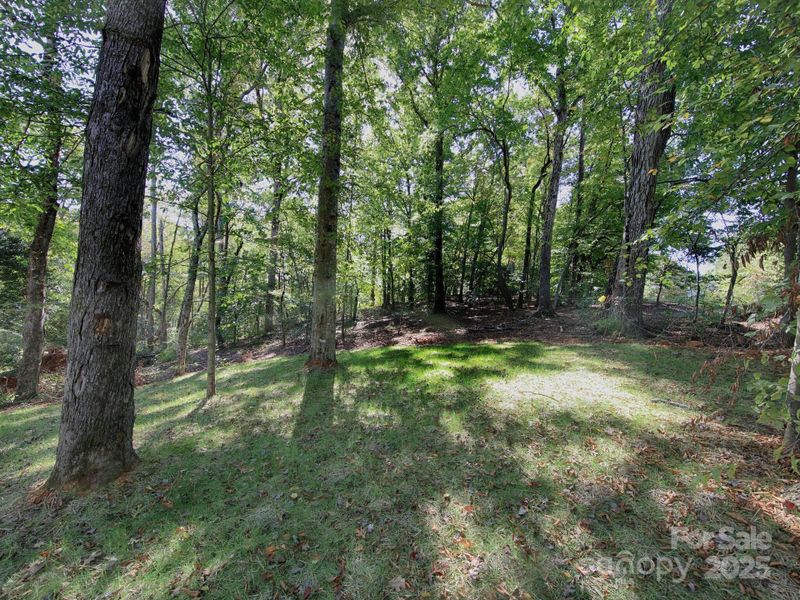 Natural landscape and outdoor views near  in Catawba (Image 36).