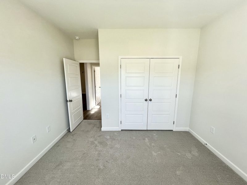 IMG_5995 2 IMG_5995 2