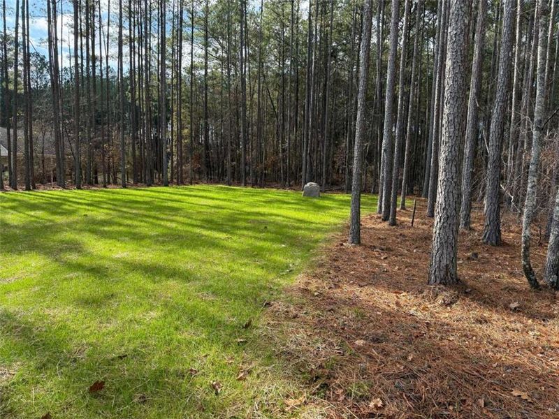 Natural landscape and outdoor views near  in Mansfield (Image 49).