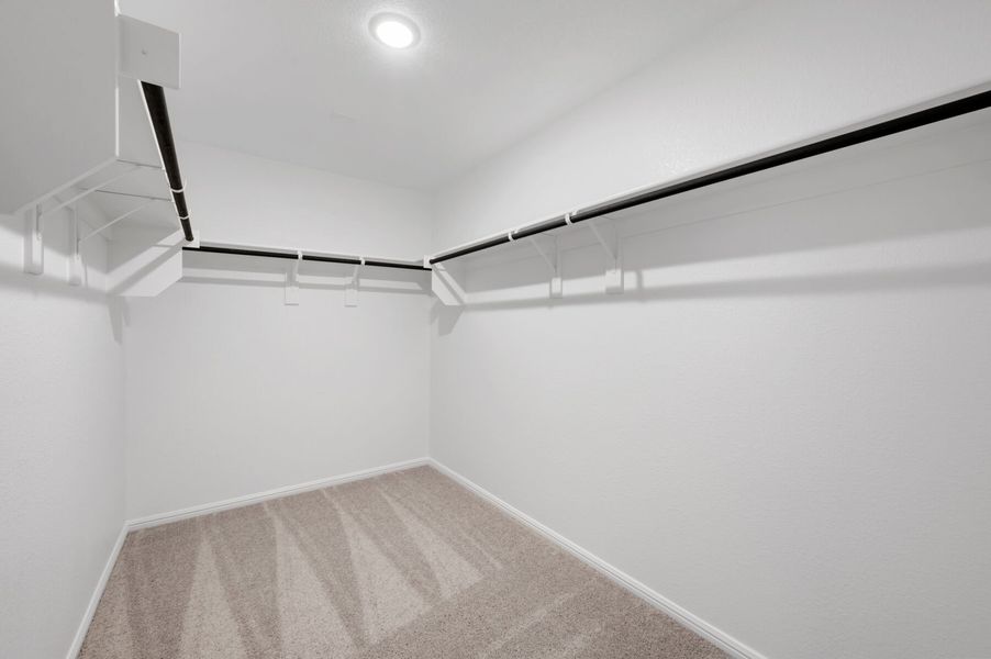 Owner's Closet