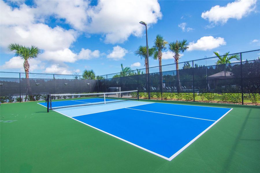 Pickle Ball Pickle Ball