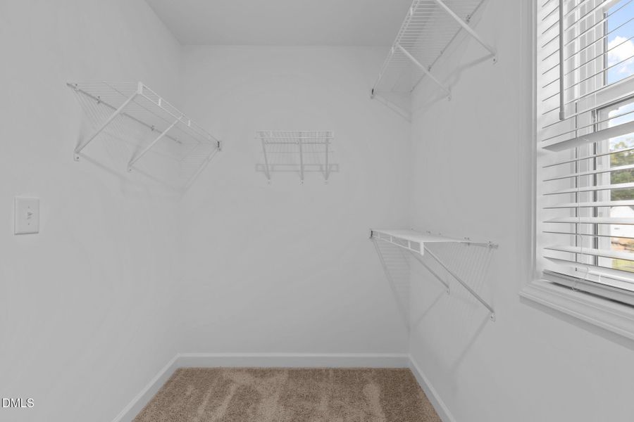 31-web-or-mls-2N6A8631 31-web-or-mls-2N6A8631