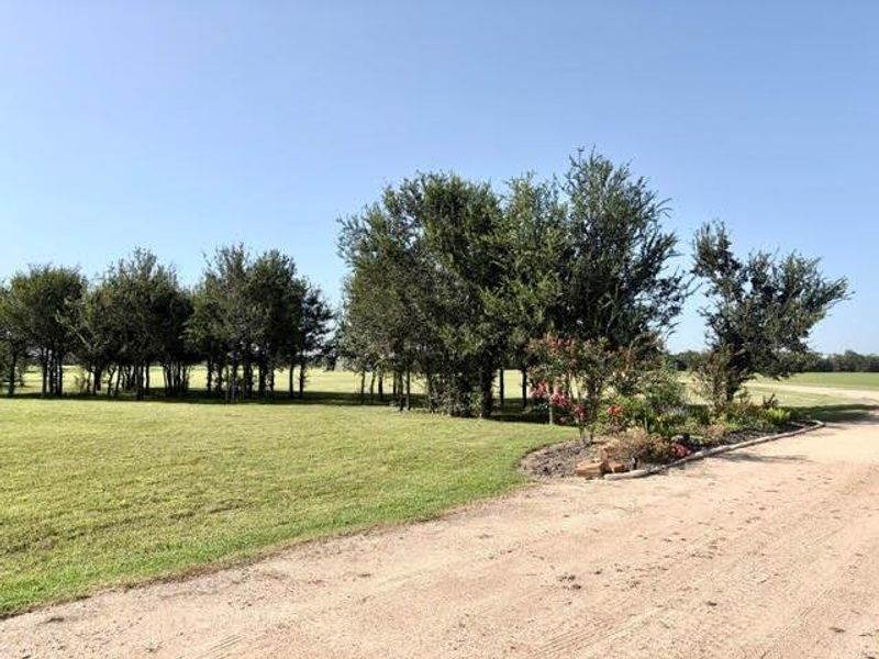 Natural landscape and outdoor views near  in El Campo (Image 44).