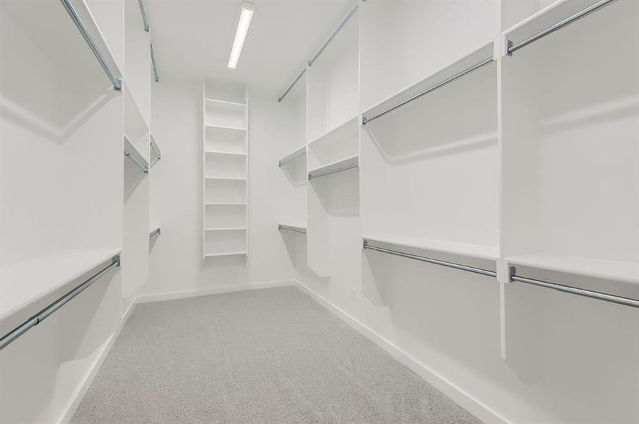 Walk in closet with carpet flooring